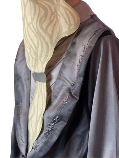Albus Dumbledore Kids Fancy Dress Costume