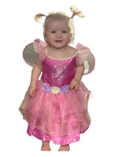 Peppa Pig Fairy Fancy Dress Costume