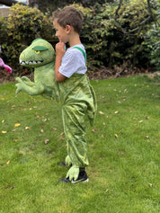 Dinosaur Ride On Costume