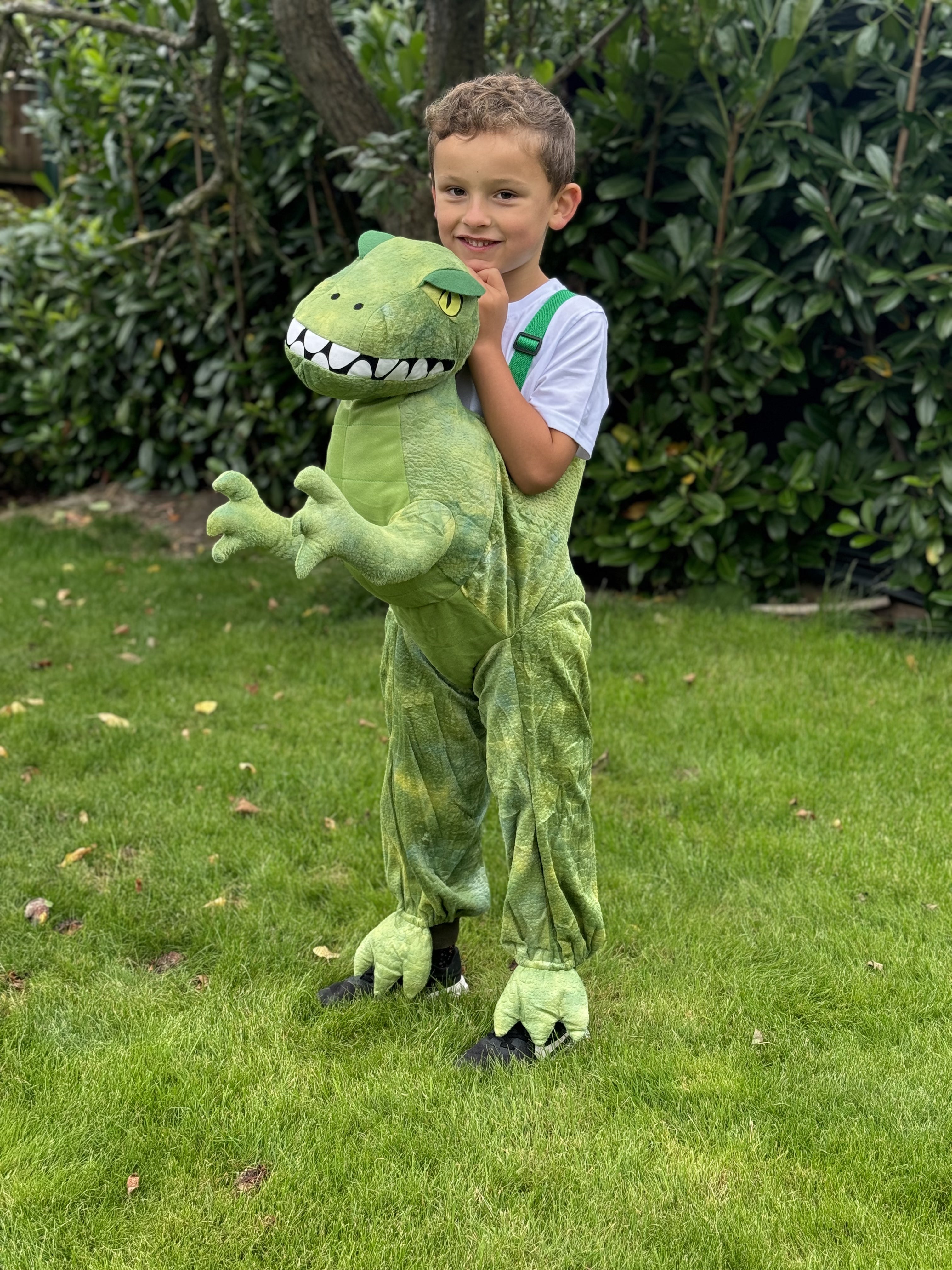 Dinosaur Ride On Costume