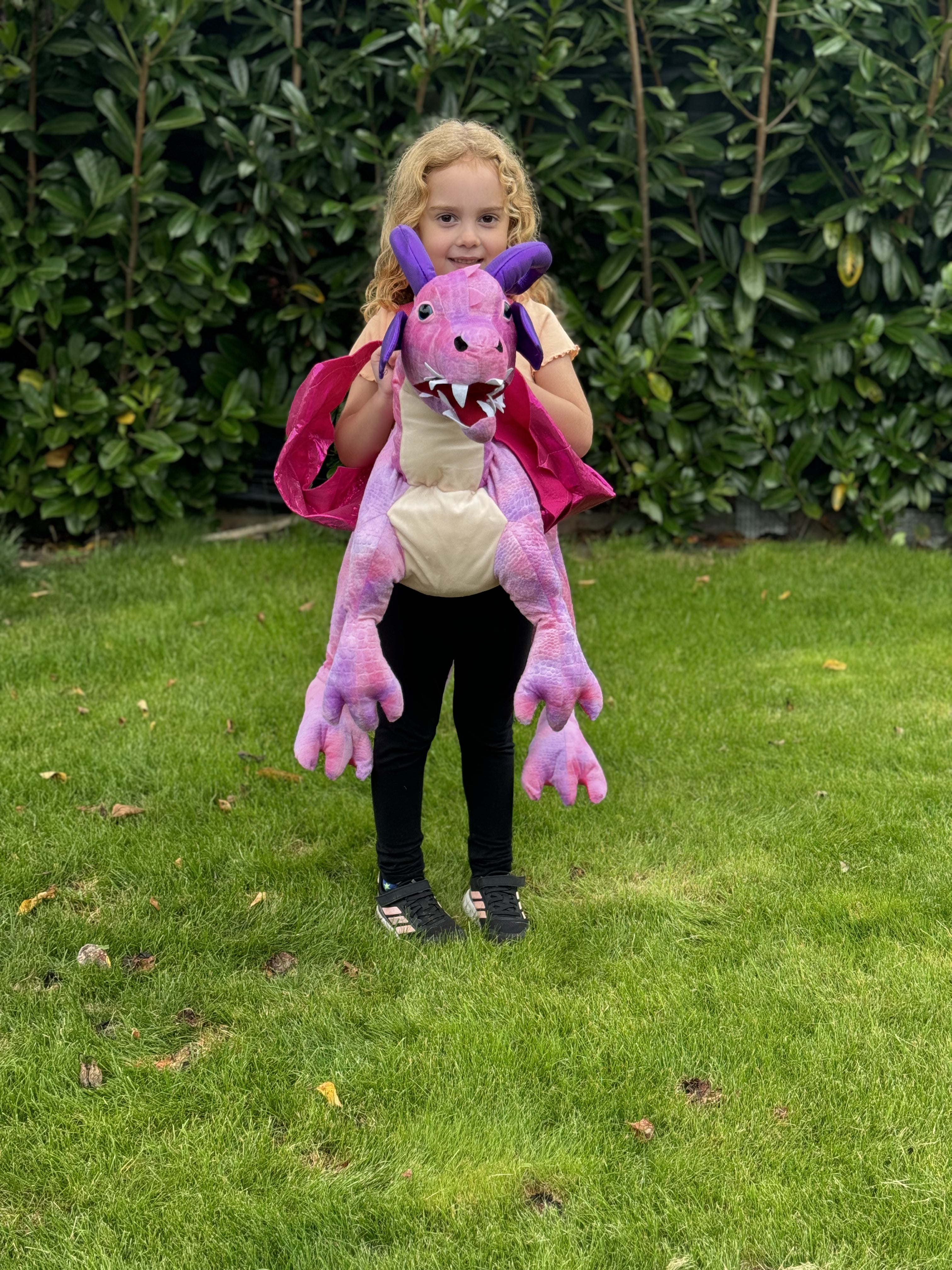 Pink Dragon Ride On Costume