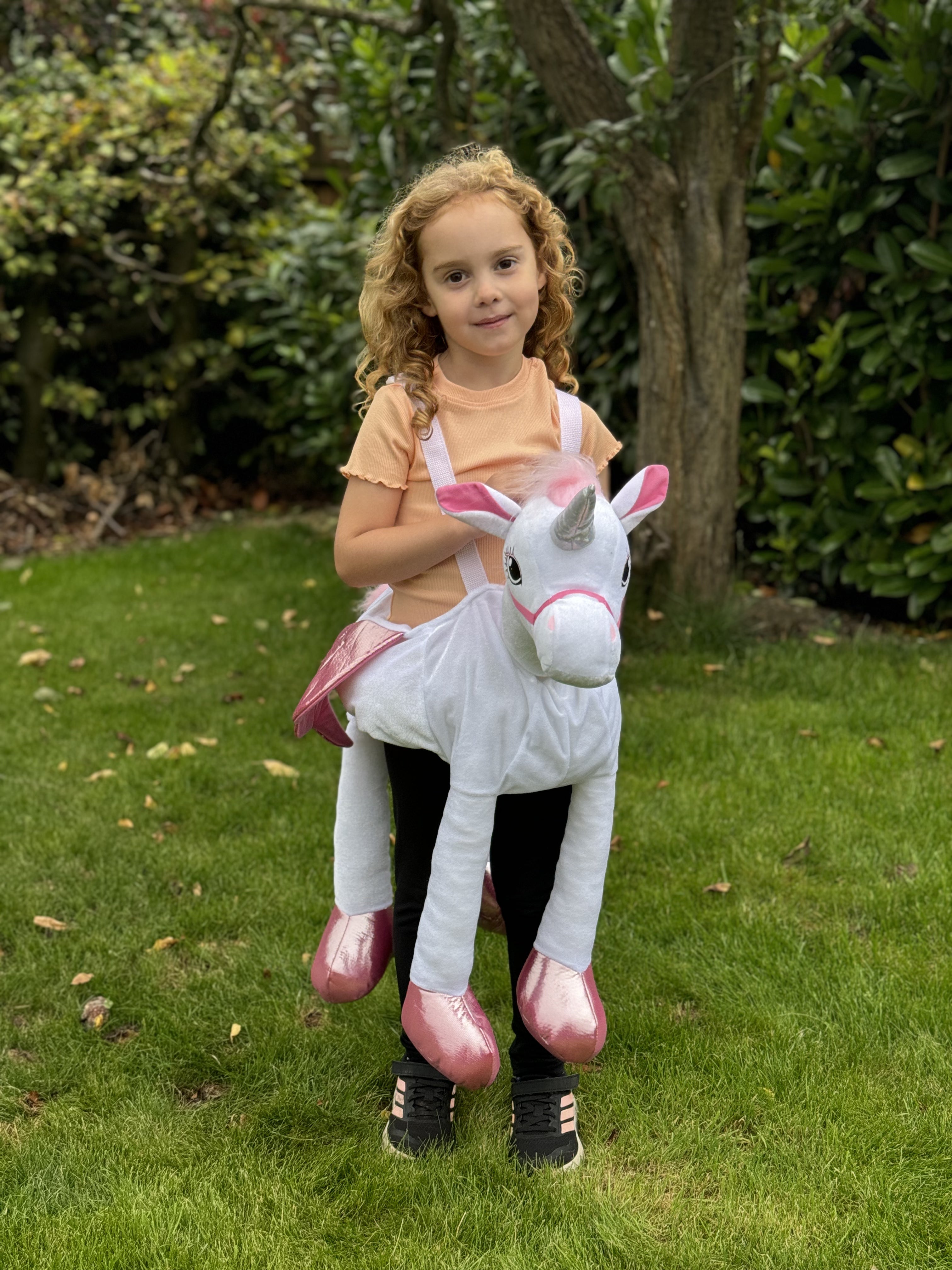 Unicorn Ride On Costume