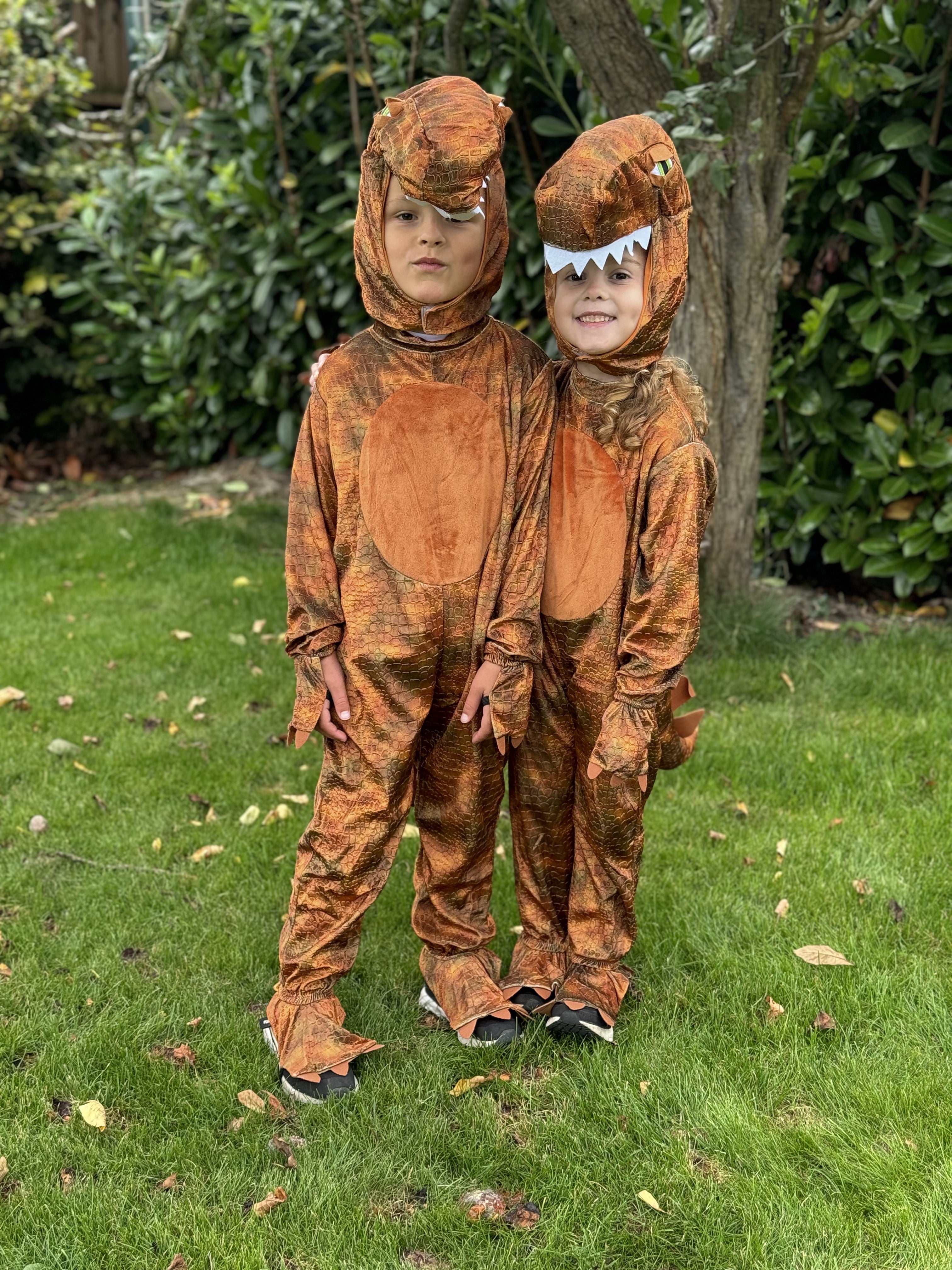 T-Rex Dinosaur Fancy Dress Costume