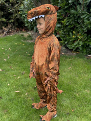 T-Rex Dinosaur Fancy Dress Costume