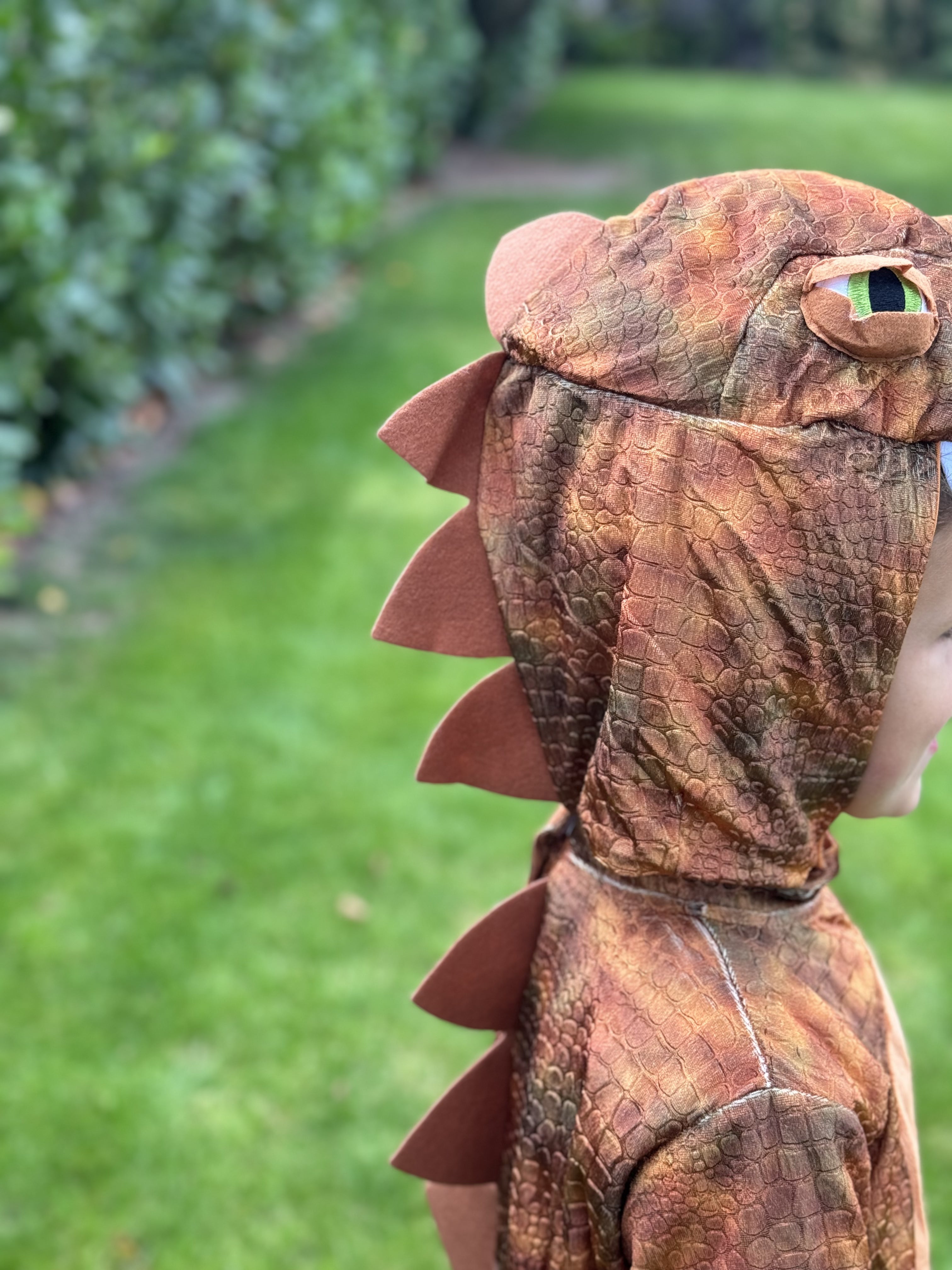 T-Rex Dinosaur Fancy Dress Costume