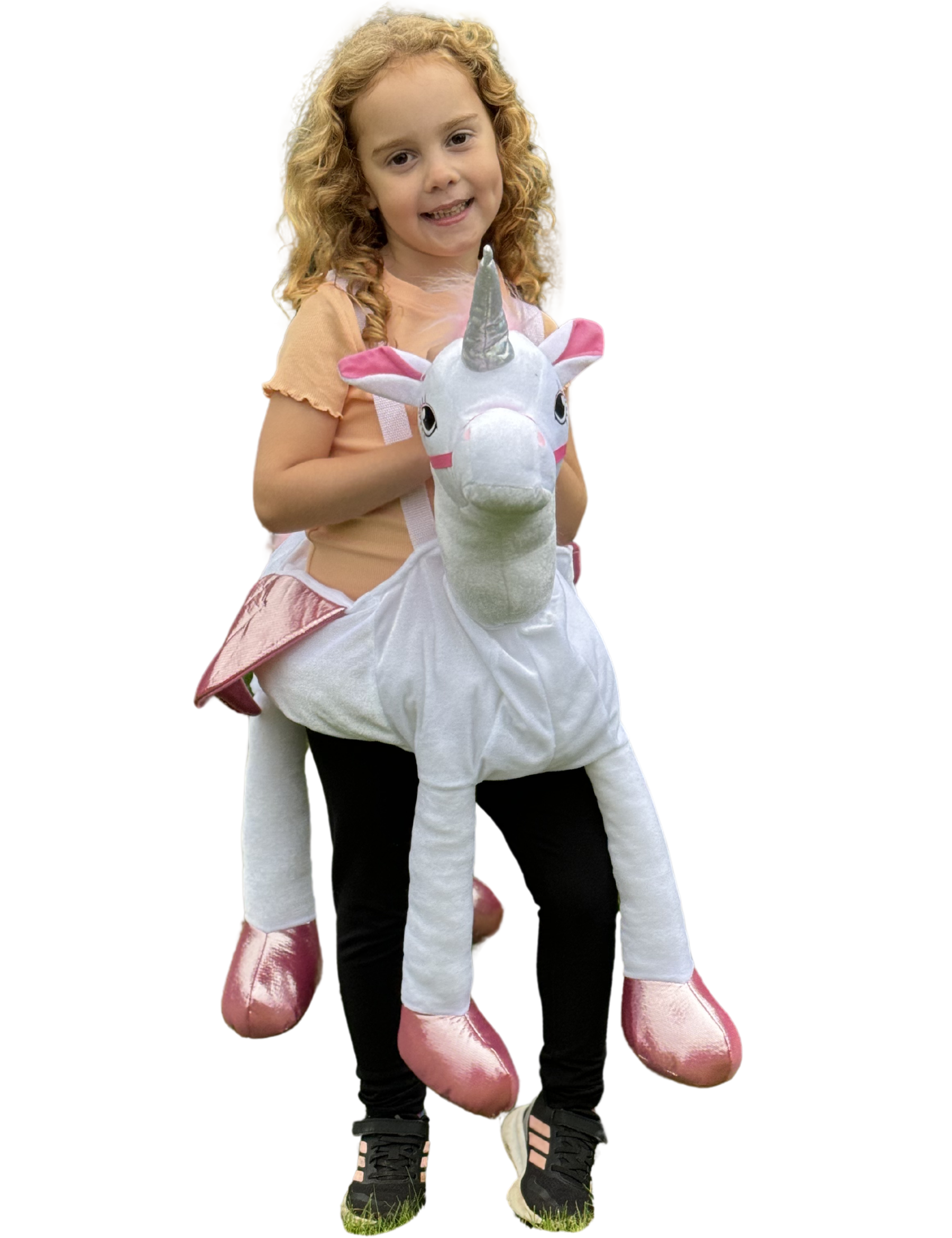 Unicorn_ride_on_white_background.png