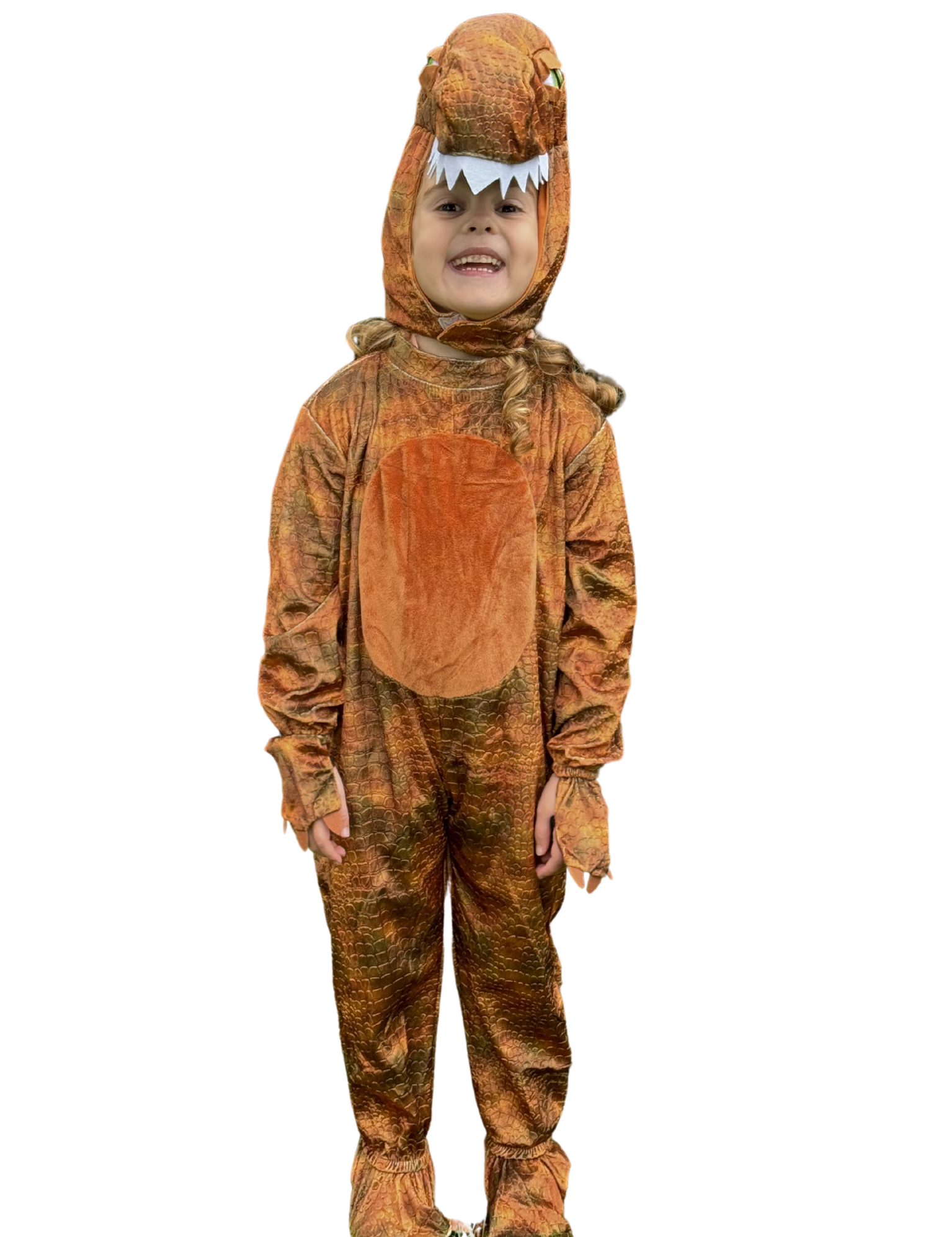 t-rex_costume_white_background.png