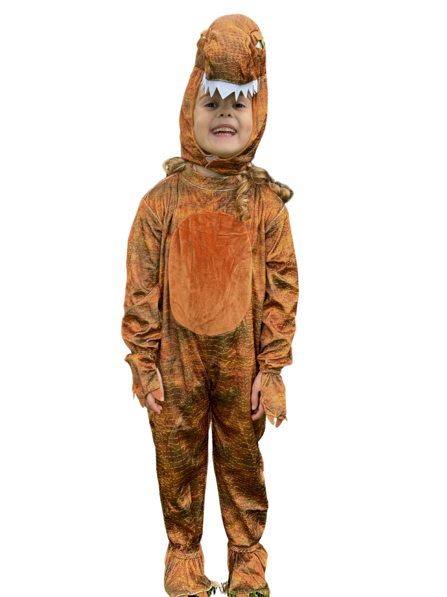 T-Rex Dinosaur Fancy Dress Costume