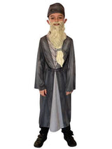 Albus Dumbledore Kids Fancy Dress Costume