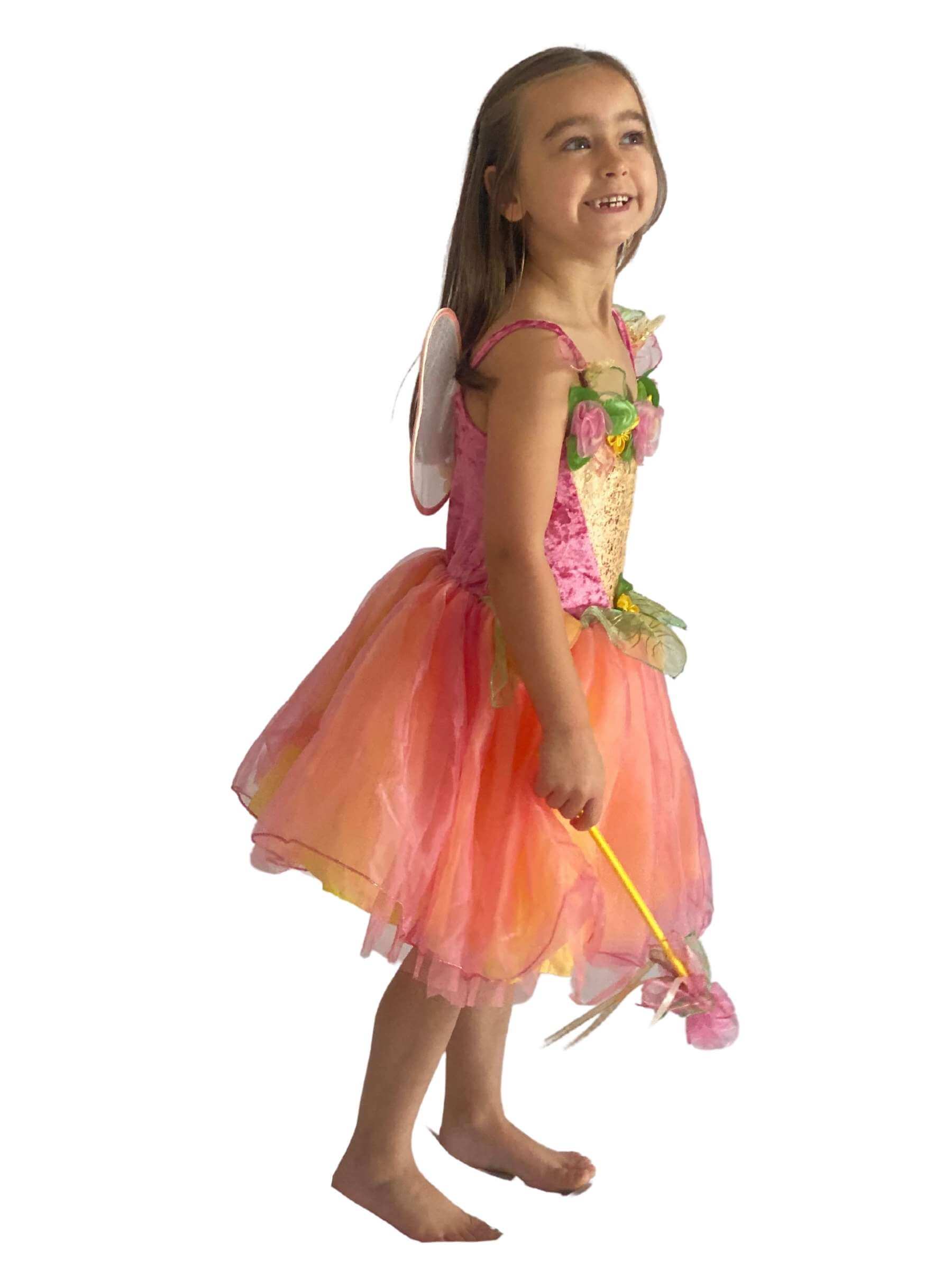 Erica the Fairy Fancy Dress Costume - Once Upon a Dream Once upon a Dream | kids fancy dress outfits Erica the Fairy Fancy Dress Costume - Once Upon a Dream Once upon a Dream | kids fancy dress outfits