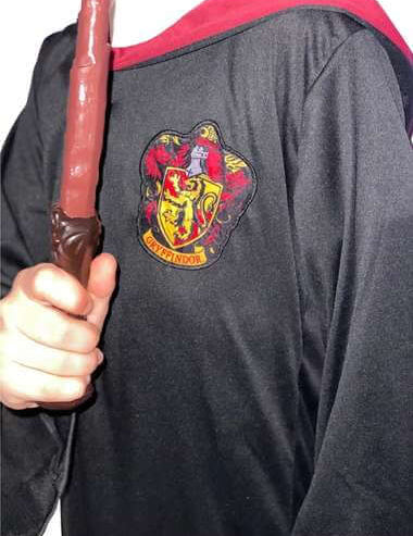 HarryStandardCloseUpWeb.jpg