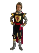 Sir Owen Knight / Crusader Fancy Dress Costume